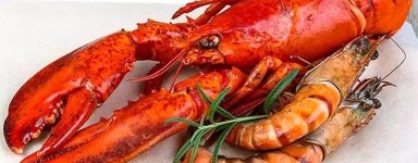 Prawn & Lobster