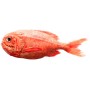 Frozen Red Cod Fish (1kg+-)
