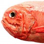 Frozen Red Cod Fish (1kg+-)